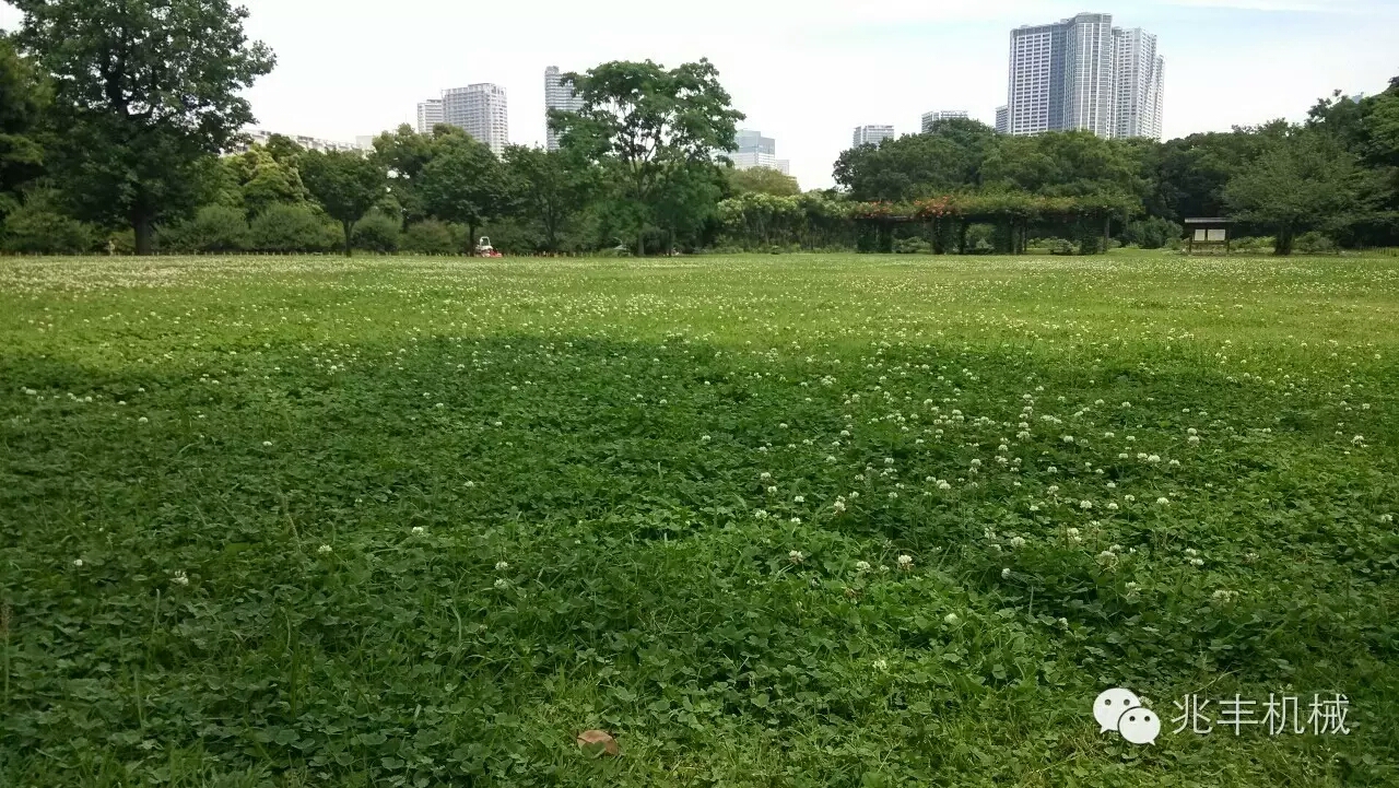 公園2.jpg 公園2.jpg